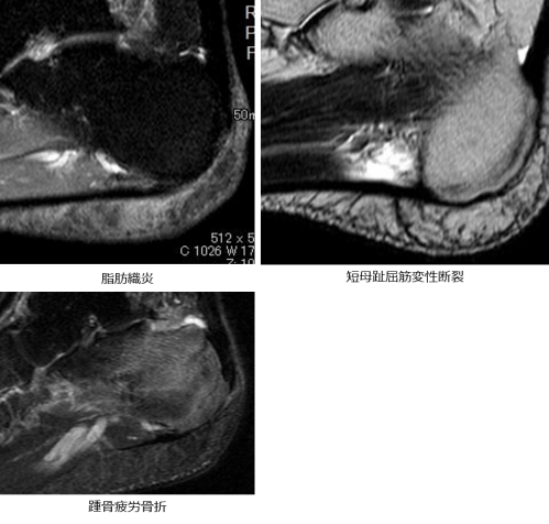 b_500_476_16777215_00_images_高橋謙二先生画像_図3.png